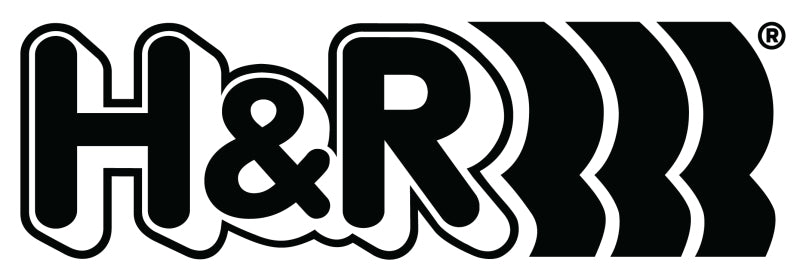 H&R 01-06 BMW M3/M3 Cabrio E46 25mm Adj. 2 Hole Sway Bar - Rear - Eaton Motorsports