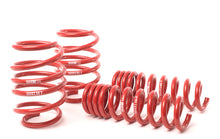 Load image into Gallery viewer, H&R 08-13 BMW M3 Coupe/M3 Sedan E92 Race Spring - Eaton Motorsports