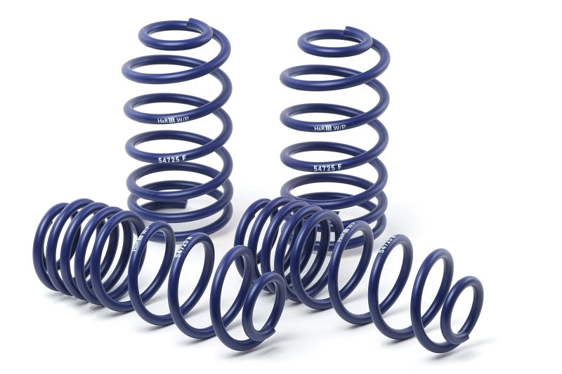H&R 00-05 BMW 323i Sport Wagon/325i Sport Wagon E46 Sport Spring - Eaton Motorsports