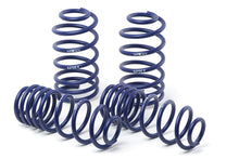 Load image into Gallery viewer, H&R 00-05 BMW 323i Sport Wagon/325i Sport Wagon E46 Sport Spring - Eaton Motorsports