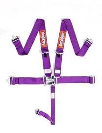 RaceQuip Purple L & L 5pt Seat Belt - Eaton Motorsports
