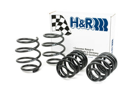 H&R 99-05 BMW 323Ci/323i/325Ci/325i/328Ci/328i/330Ci/330i E46 Sport Spring (w/o Sport Susp.) - Eaton Motorsports