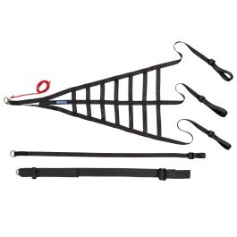 Sparco Window Net FIA 8863/2013 - Eaton Motorsports